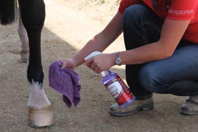 Easy-out-spot-remover-legs