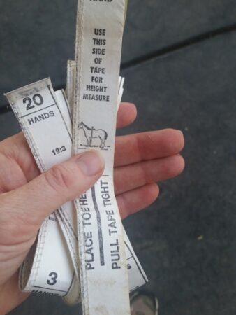 horse weight tape