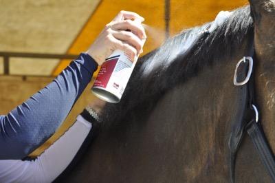 horse-mane-mousse