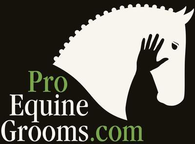proequinegrooms logs