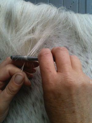 pulling a mane